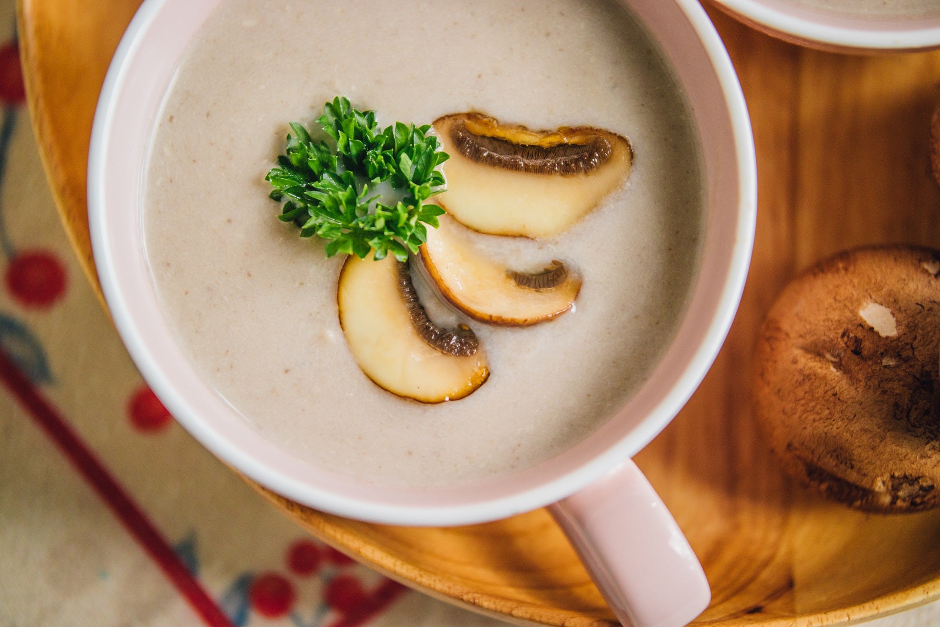 Chicken and Mushroom Soup