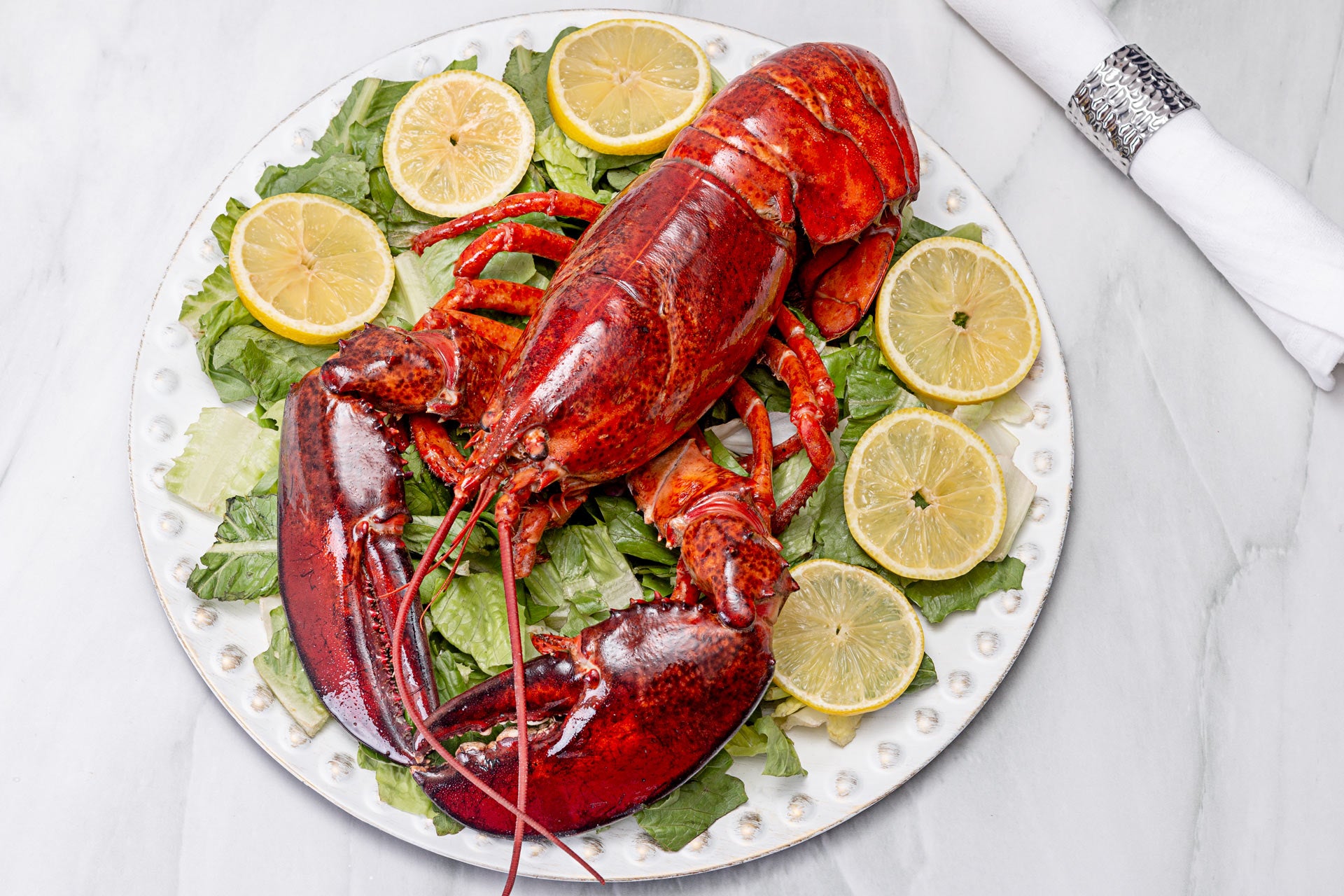 Cooked Lobster